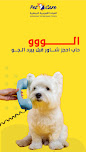European Veterinary Clinic thumb 10
